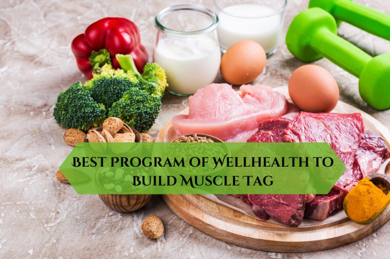 Best Program of Wellhealth to Build Muscle Tag