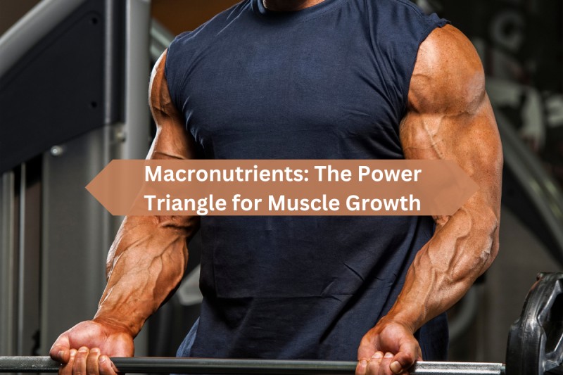 Macronutrients: The Power Triangle for Muscle Growth