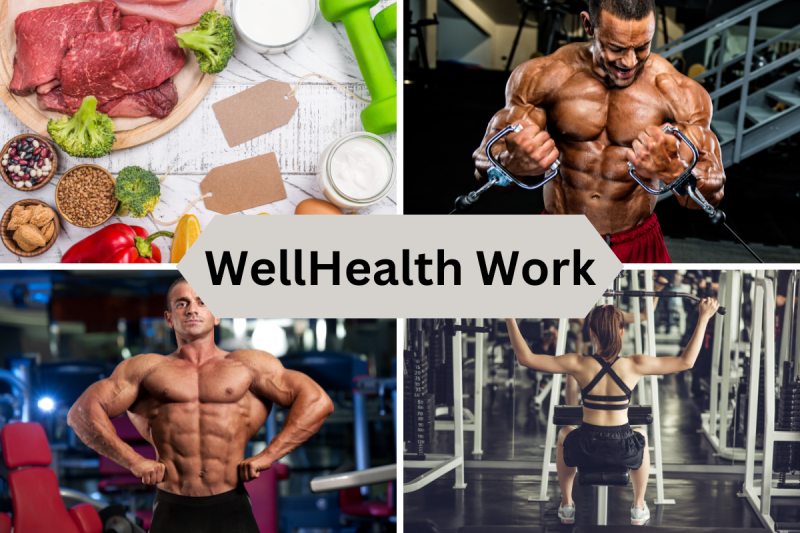 WellHealth Work