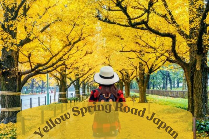 Yellow Spring Road Japan